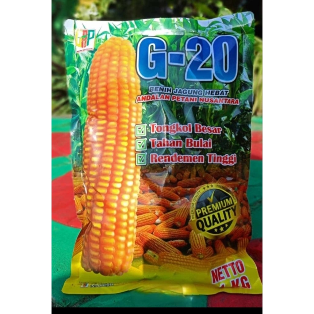 

Benih jagung unggul G-20 Bersertifikat resmi Andalan petani indonesia
