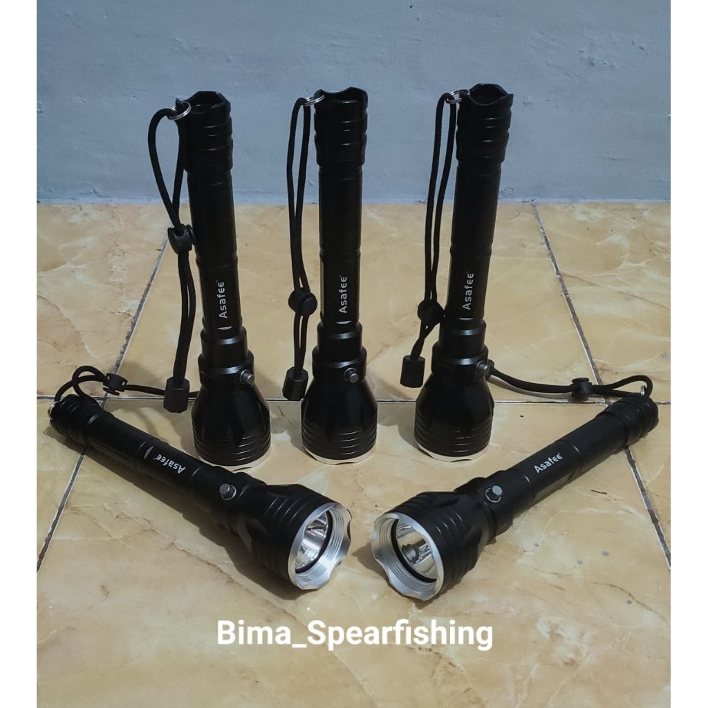 Asafee senter selam diving