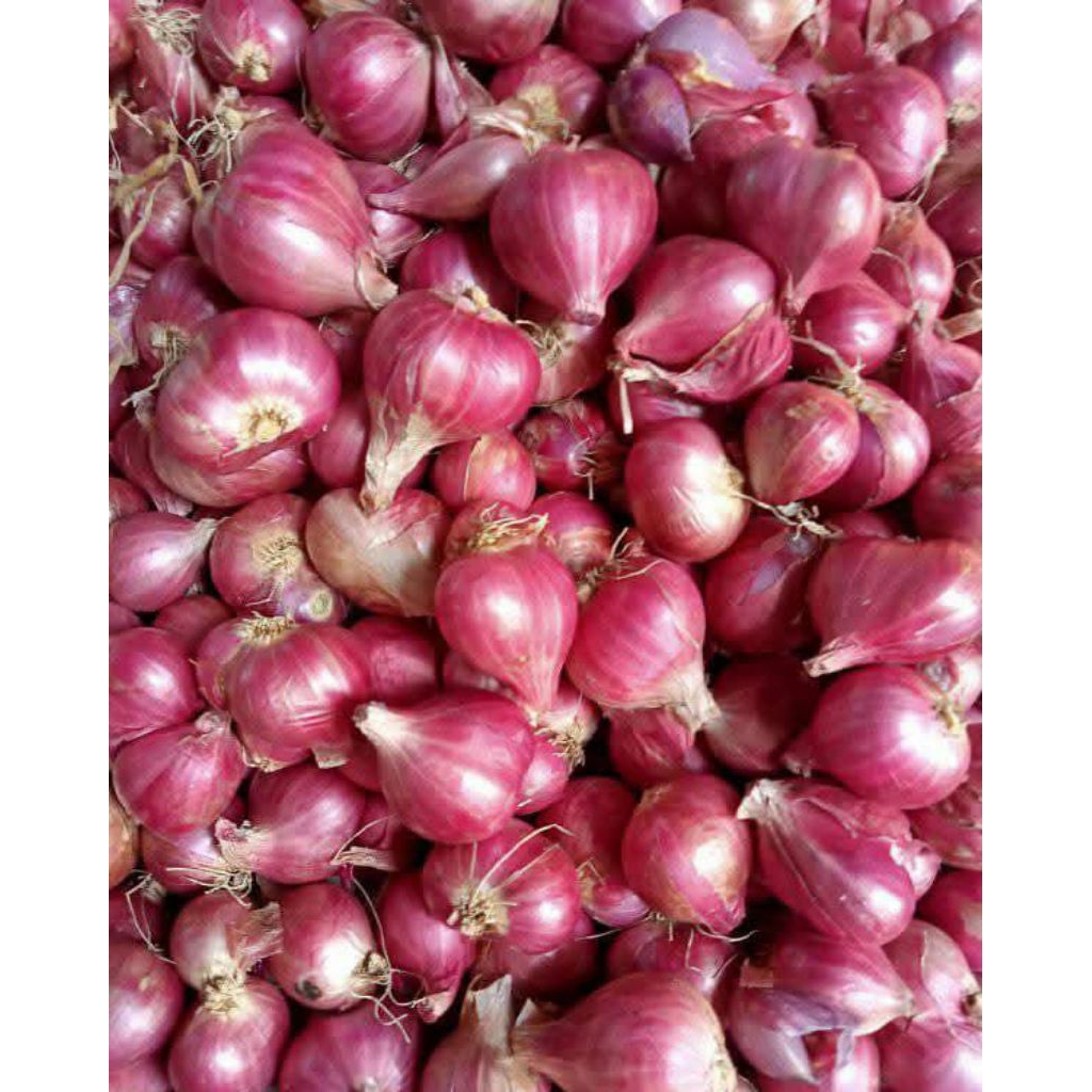 

Bawang merah Probolinggo bersih kering 1kg