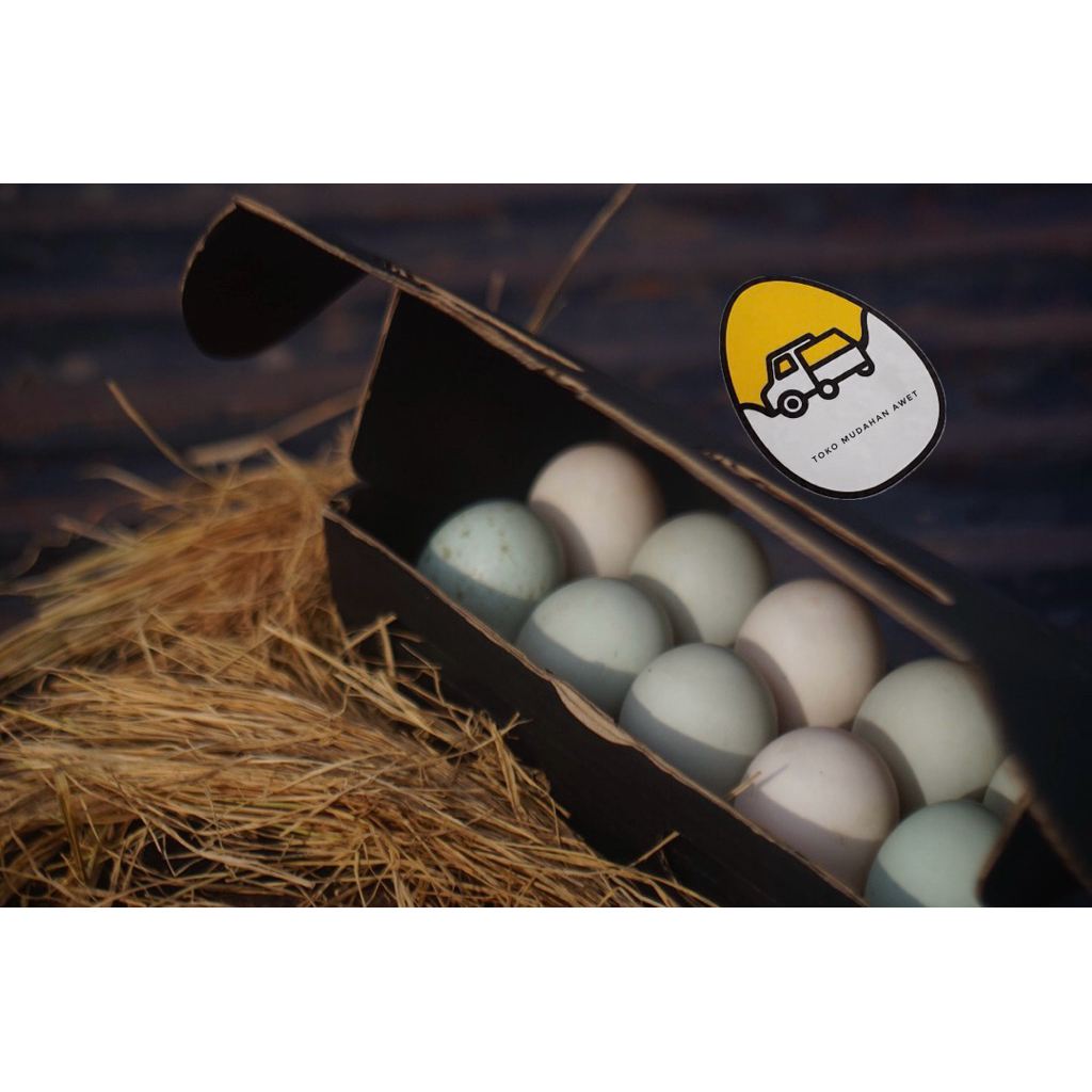 

Telur Bebek Organik Ukuran Sedang per 10 butir