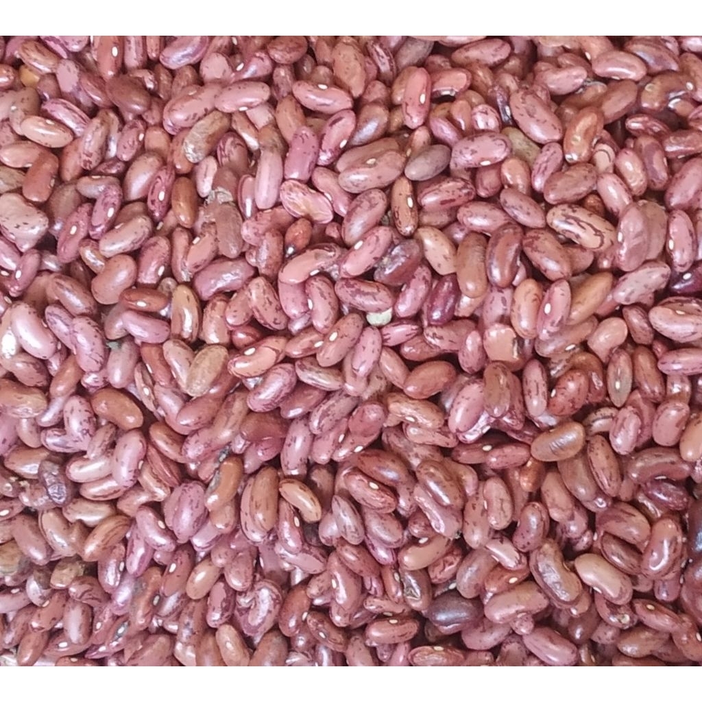 

kacang merah / bernebon/ kacang buncis per kg