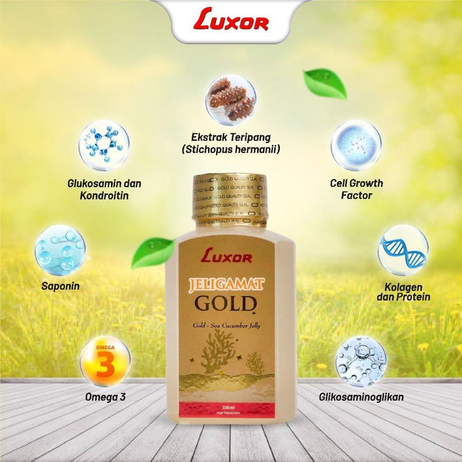 Jelly Gamat Gold Luxor 350ml Original Ekstrak Teripang Emas 100% Asli I Luxor Jelly Gamat Gold