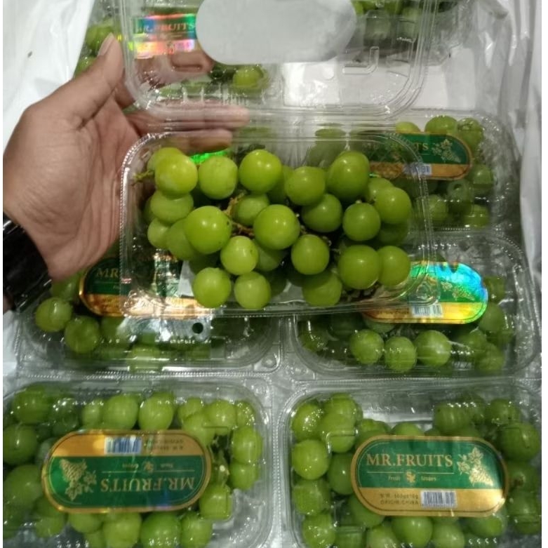 

ANGGUR MUSCAT MR FRUIT SUPER FRESH 500GR KARTONAN CHAT