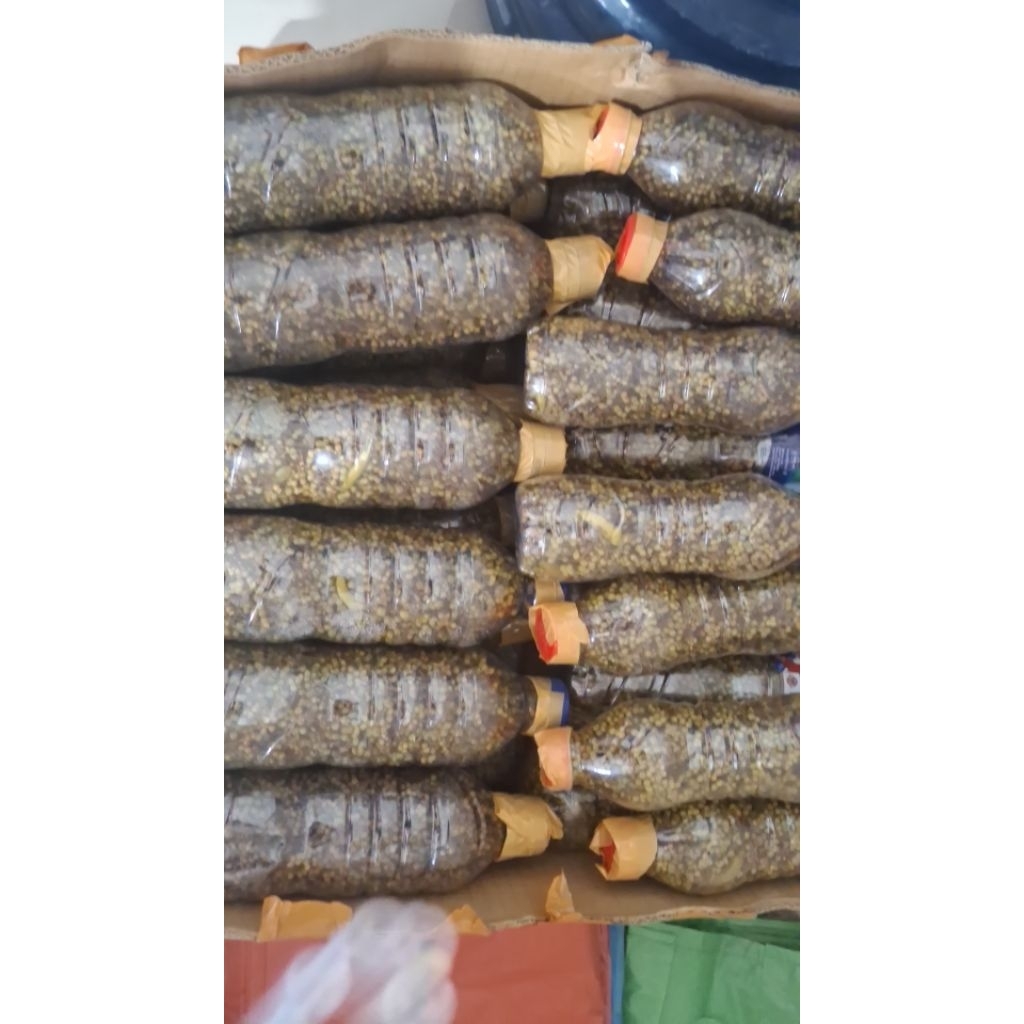 

andaliman batak 250 gram