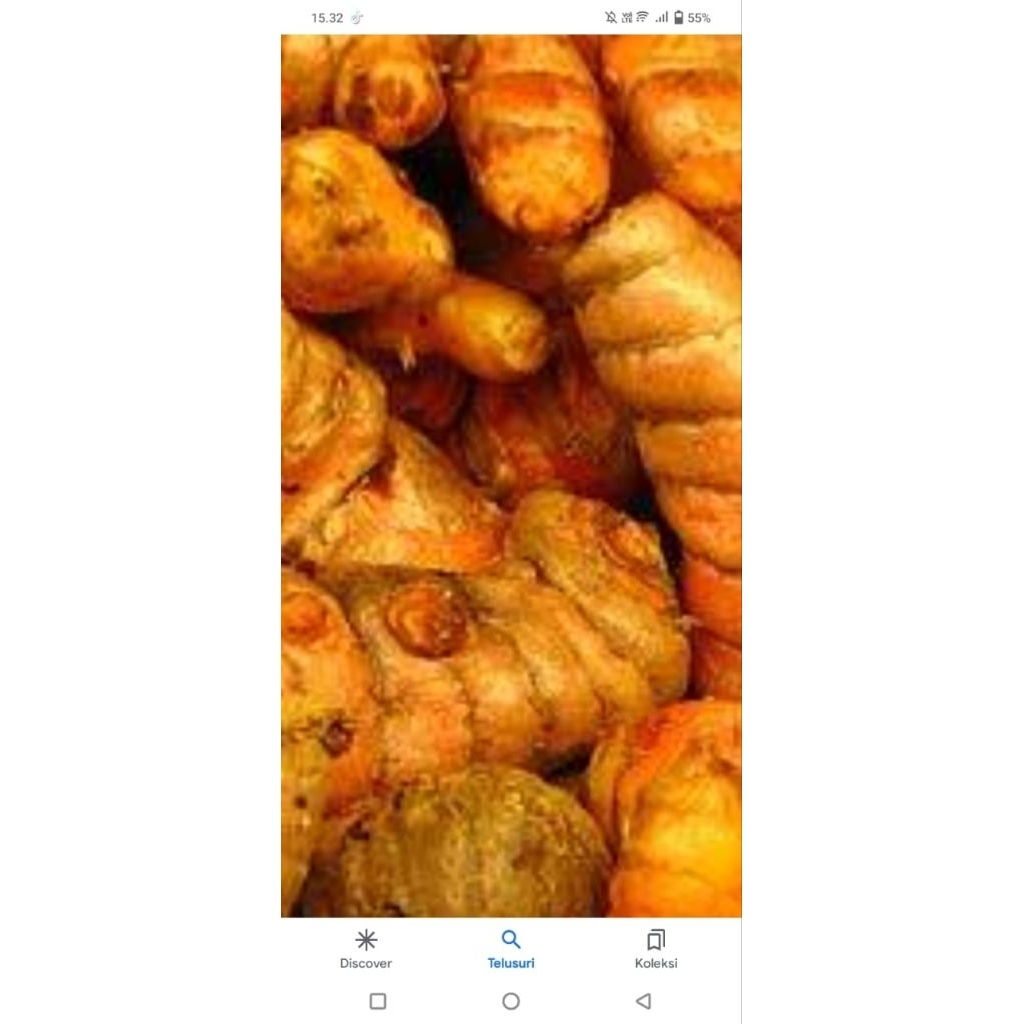 

Kirim Instan!!! Sereh, Lengkuas, kunyit 250gr,500gr