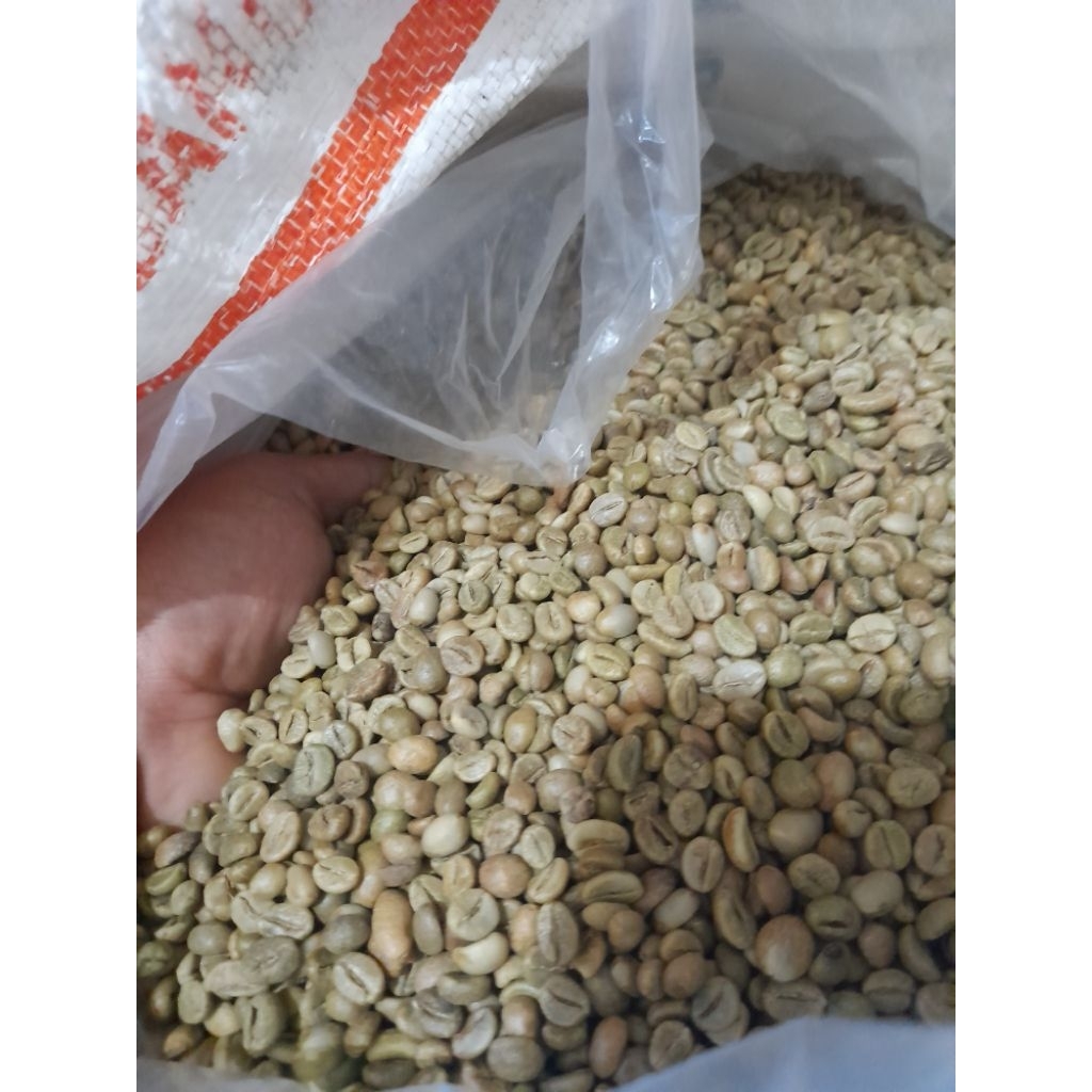 

greenbean robusta kerinci G1