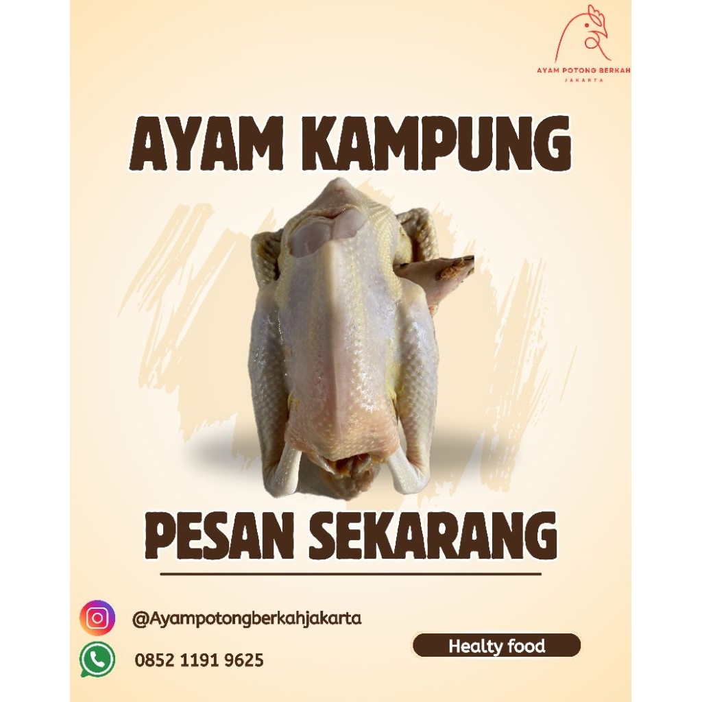 

Ayam kampung fresh 1 ekor