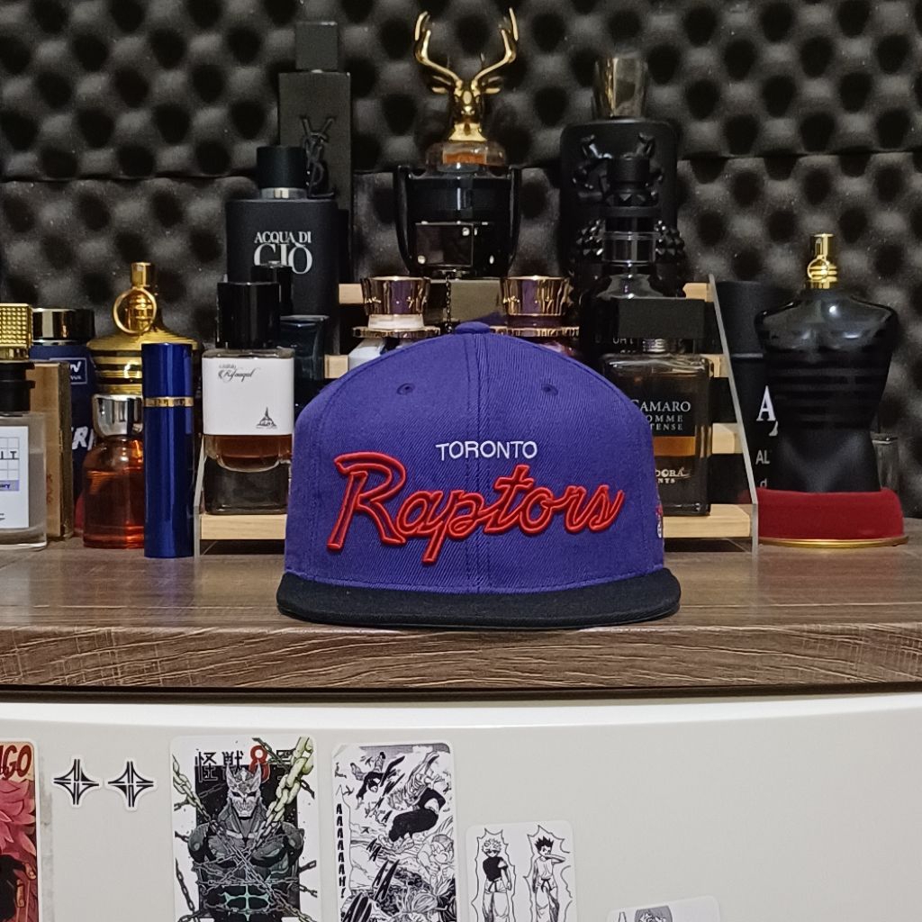 topi toronto raptors mitchell&ness second