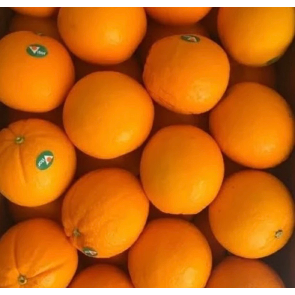 

Jeruk Sunkist / Navel - 500gram