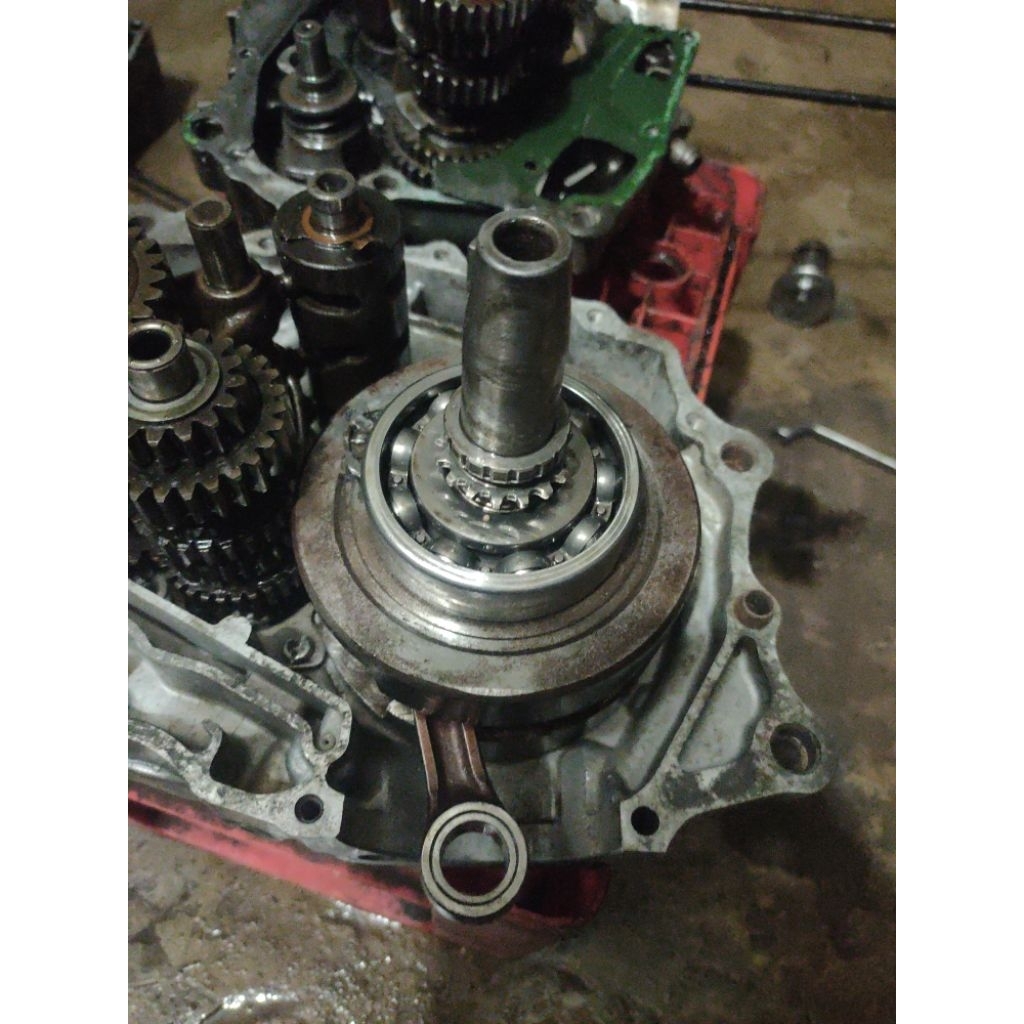 Bandul langkah 74 pnp gl mp tiger