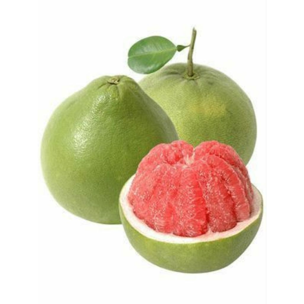 

Jeruk Bali Madu Segar Fresh Per Buah