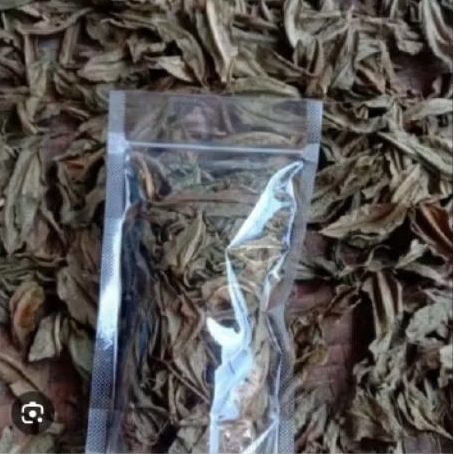 

Daun kedondong kering 300 grm
