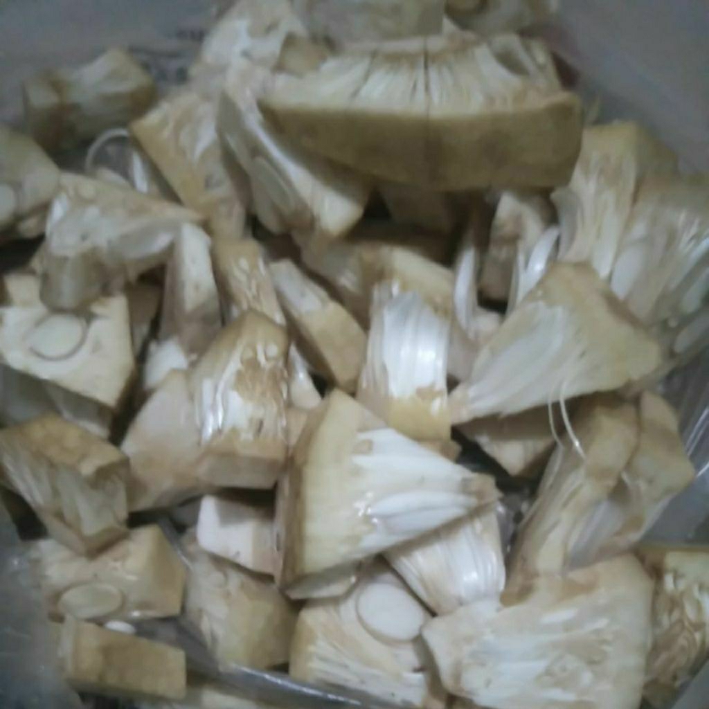 

Sayur Nangka Muda Tewel lodeh segar