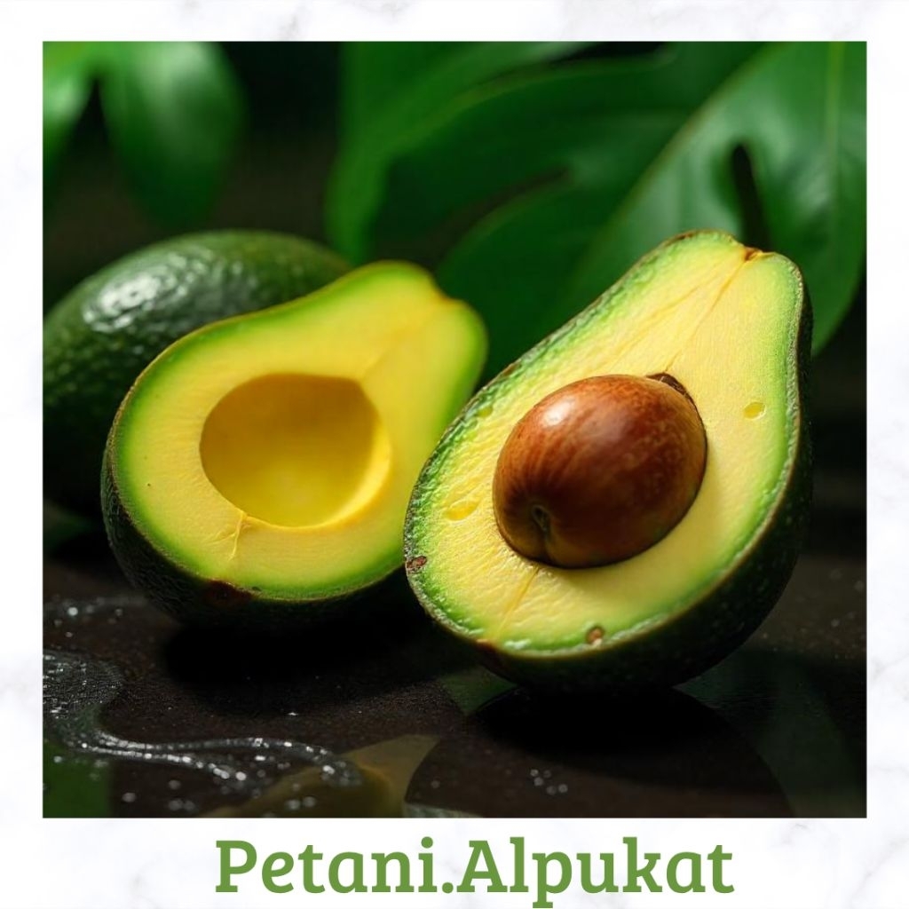 

Alpukat mentega super legit Asli paket 500gram