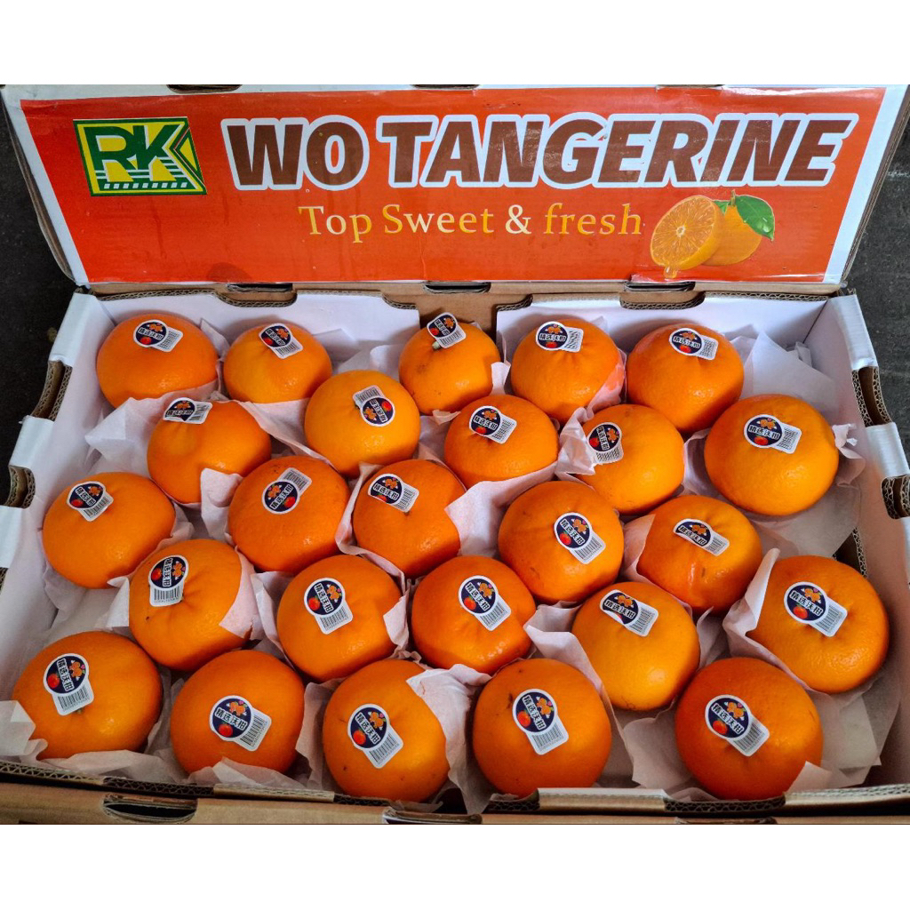 

JERUK WOGAN WO TANGRINE 9 KG 1 DUS MURAH NEW MANIS