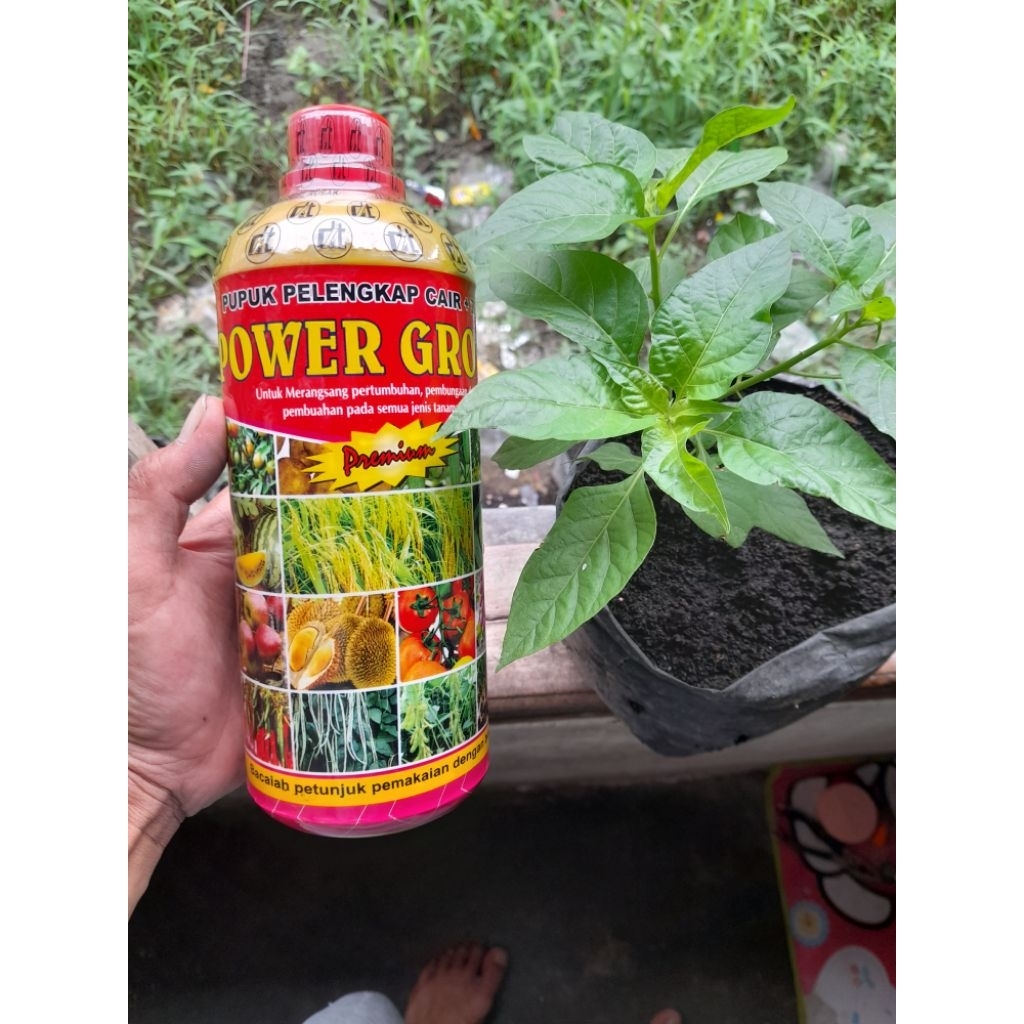Lintang Gardening Pupuk Daun Power Grow Ppc + Zpt 1.000 Ml