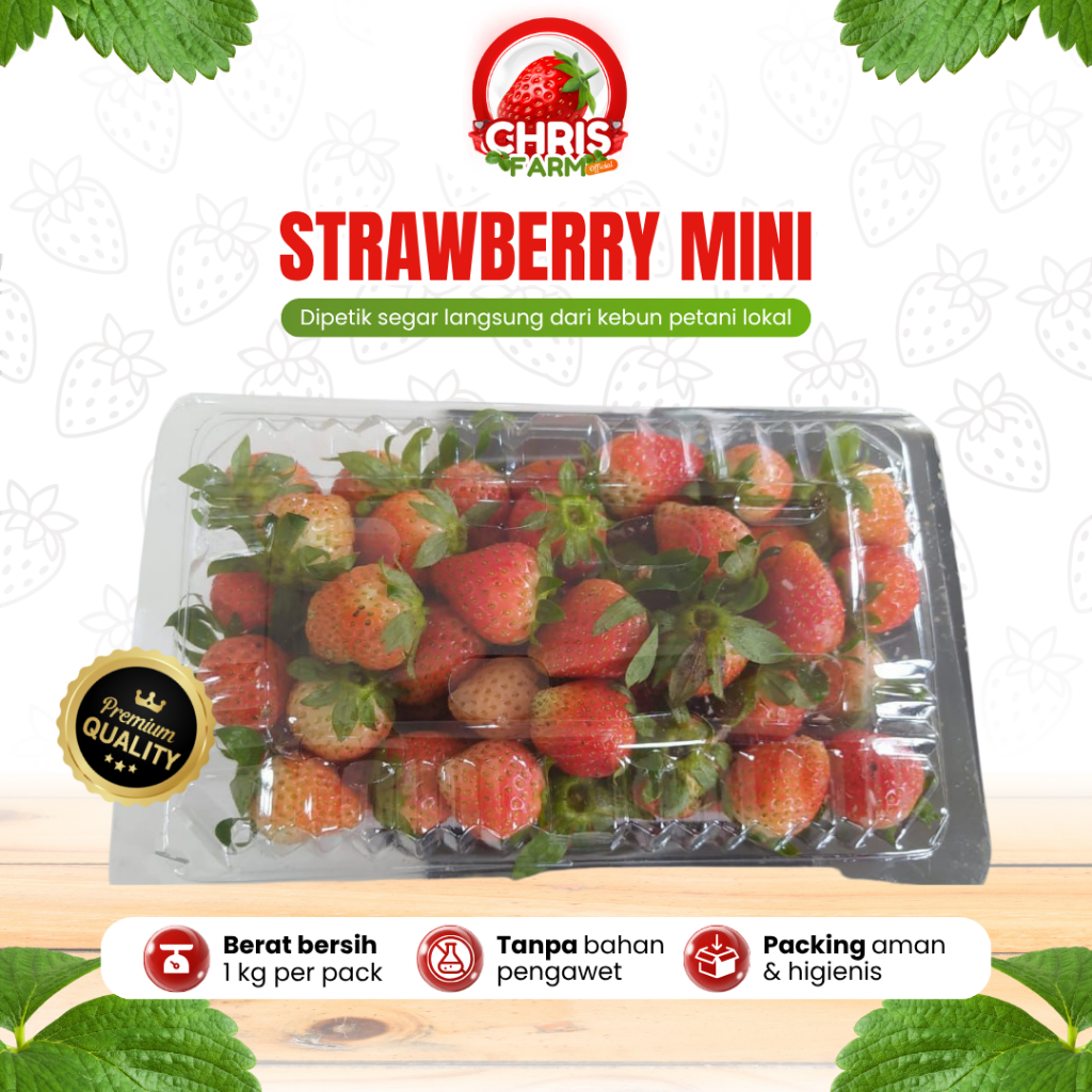 

Buah Strawberry Mini Lokal Mencir Ciwidey Fresh Stroberi Segar 1 kg