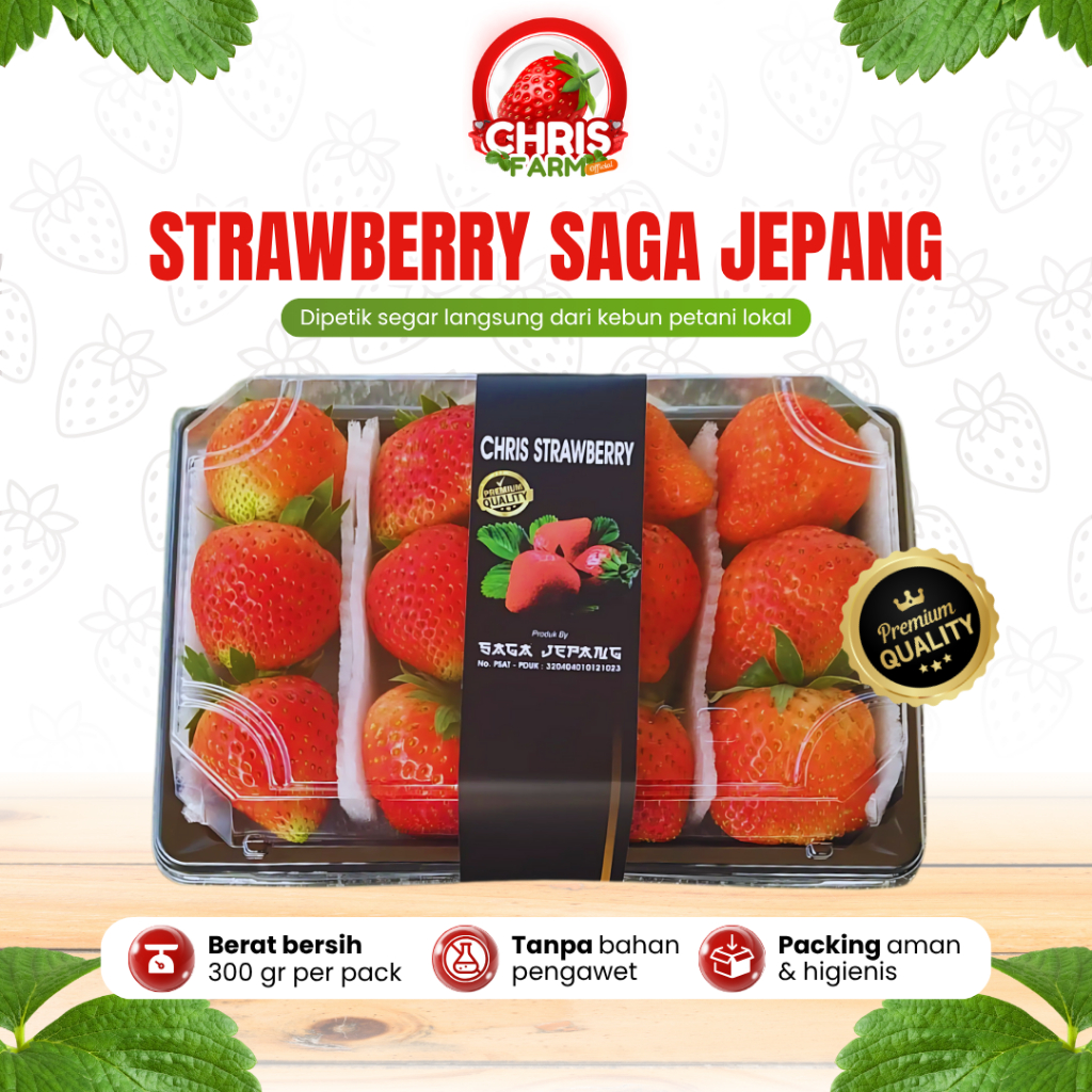 

Buah Strawberry Saga Jepang Grade Premium A Fresh Stroberi Segar 300 gram