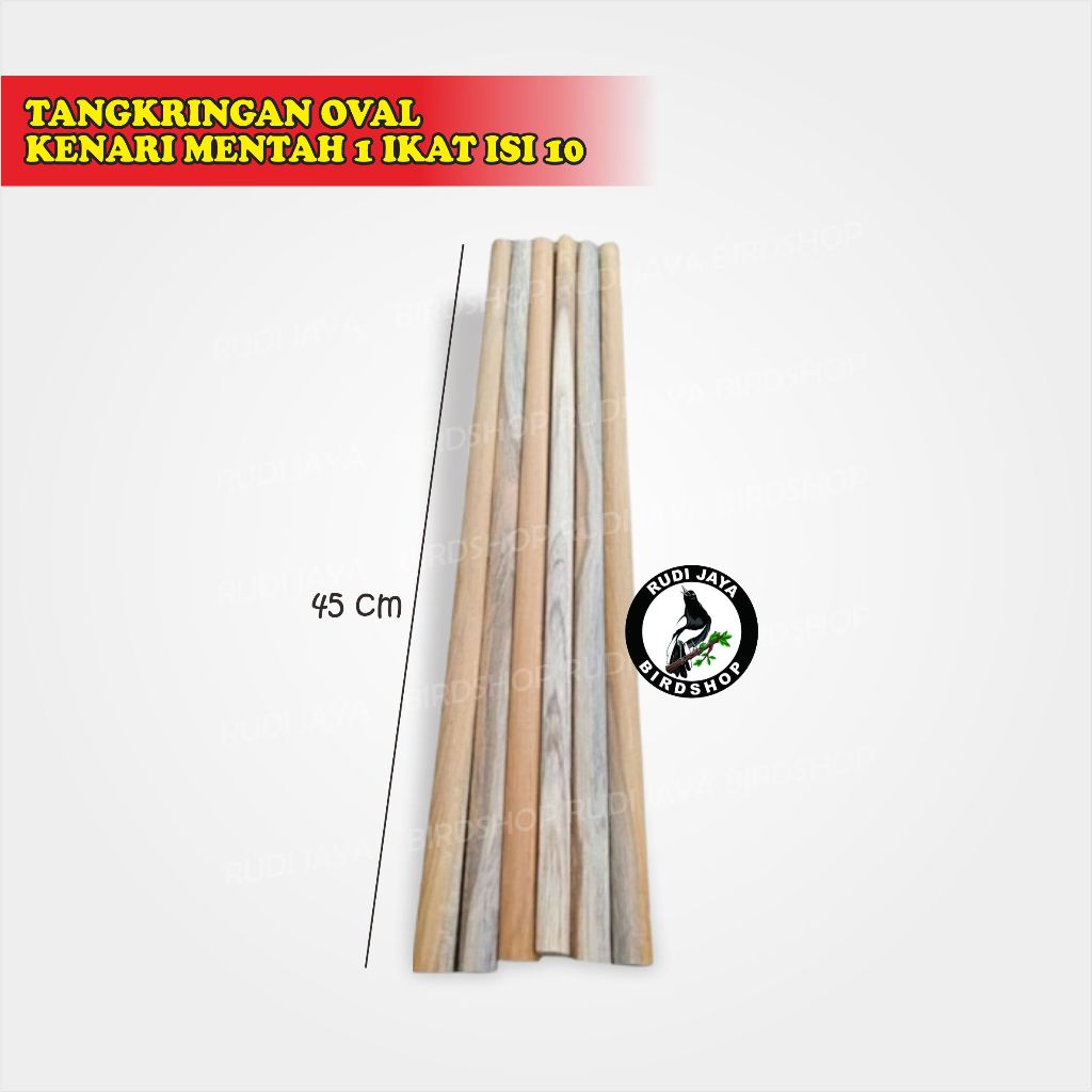 TANGKRINGAN OVAL KENARI MENTAH 1 IKAT ISI 10 DAN SERUT KENARI kANDANG SANGKAR KOTAK BURUNG KENARI