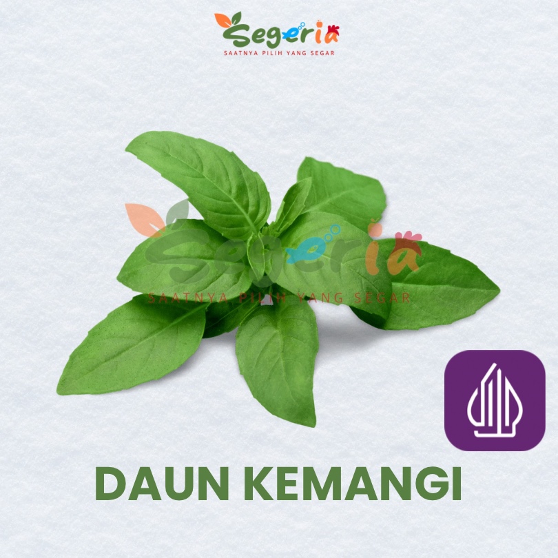 

DAUN KEMANGI