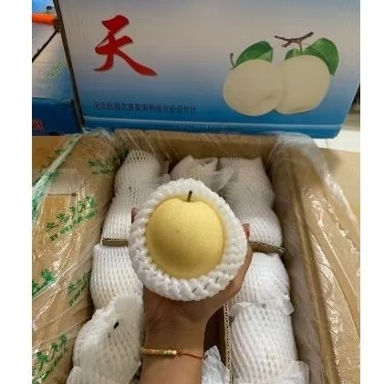 

Pear Century sz 60 500gram