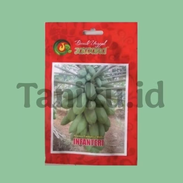 Benih bibit pepaya California madu 1 gr
