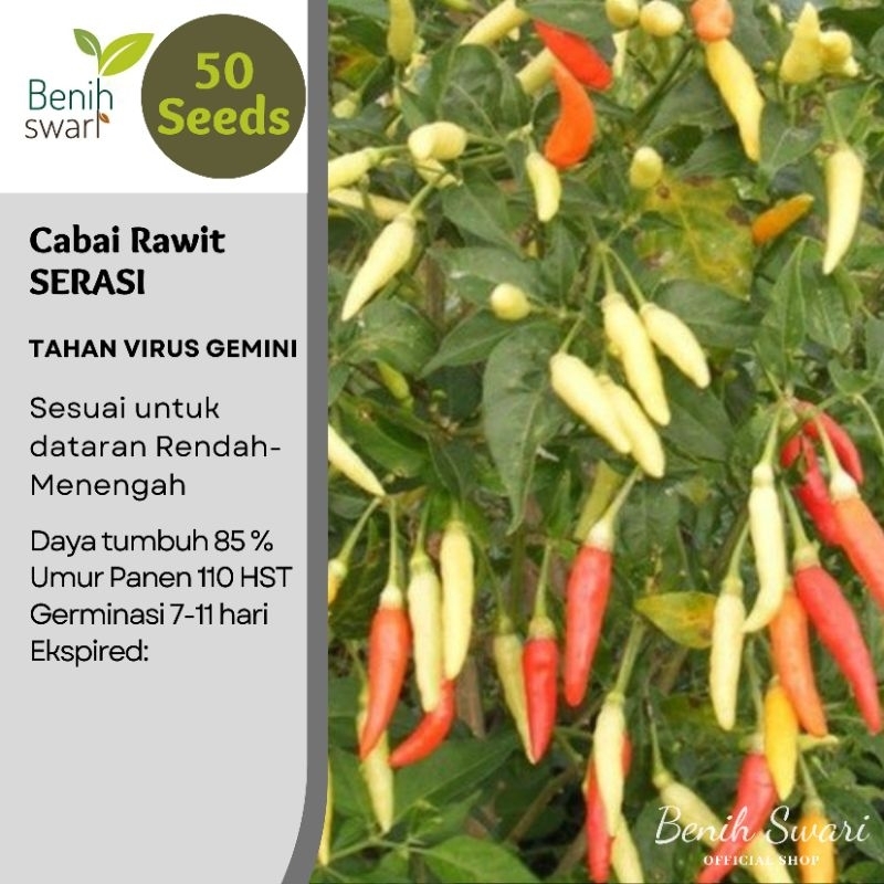 Isi 50 Butir Benih Cabai Rawit SERASI