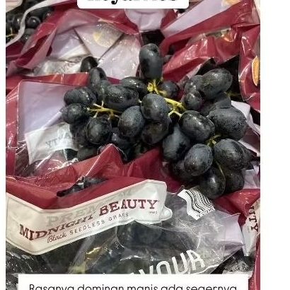 

anggur black Midnight AUS