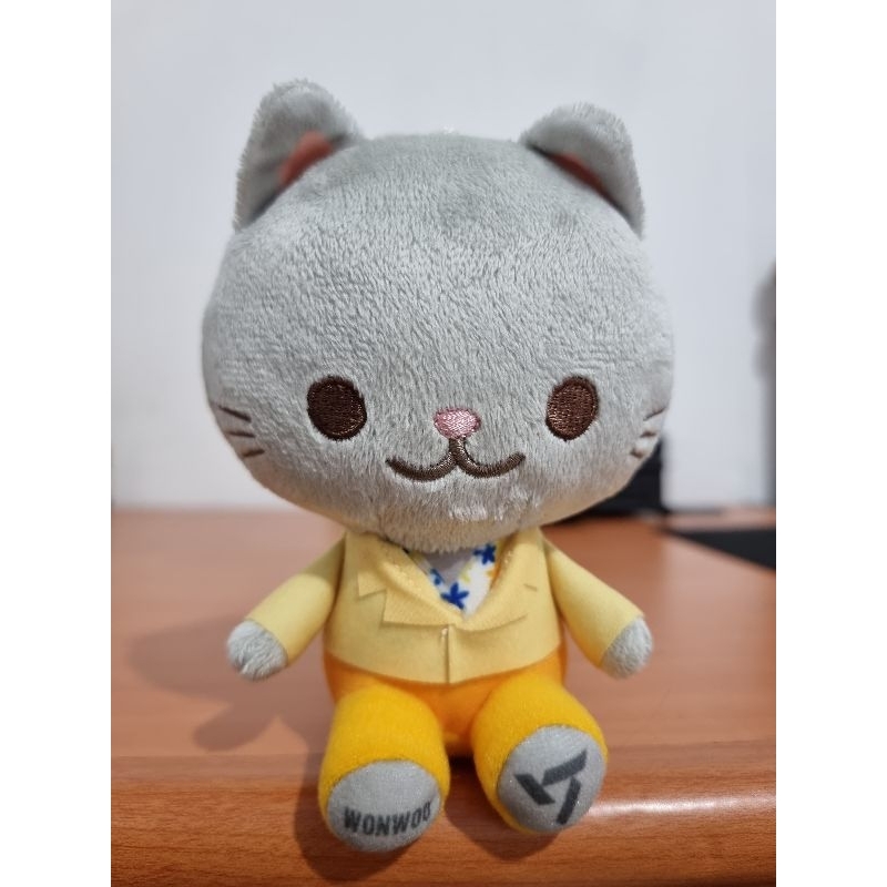 Plush Cat Seventeen Wonwoo Animal Coordy Sector 17