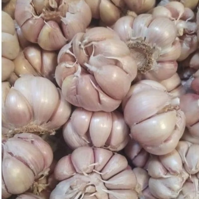 

Bawang Putih 500gr