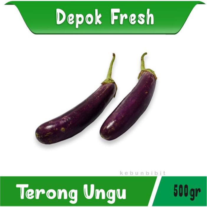 

TERONG UNGU PANJANG SAYUR SEGAR BERKUALITAS