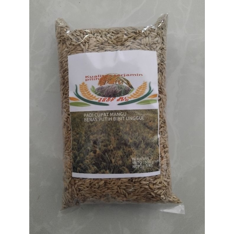 

Jual binit padi beras putih cupat mangu 1000 gram