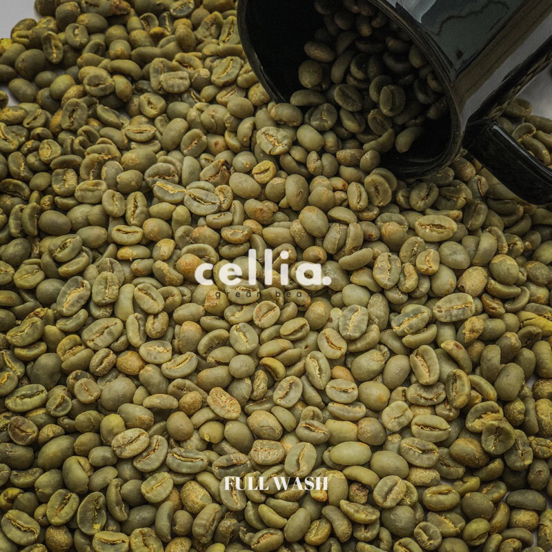 

Green Bean Arabica Gayo full Wash (Dry Process) Grade 1 1KG
