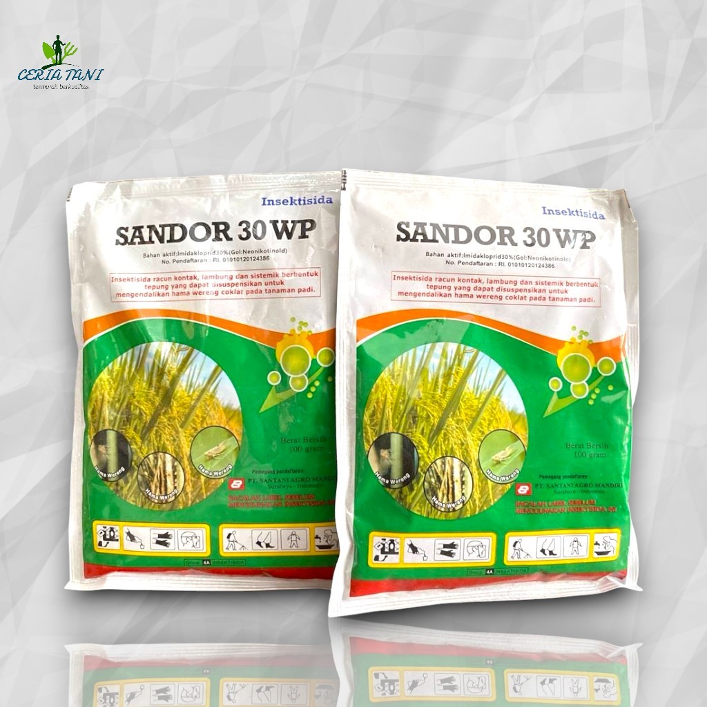 SANDOR 30 WP 100 GR