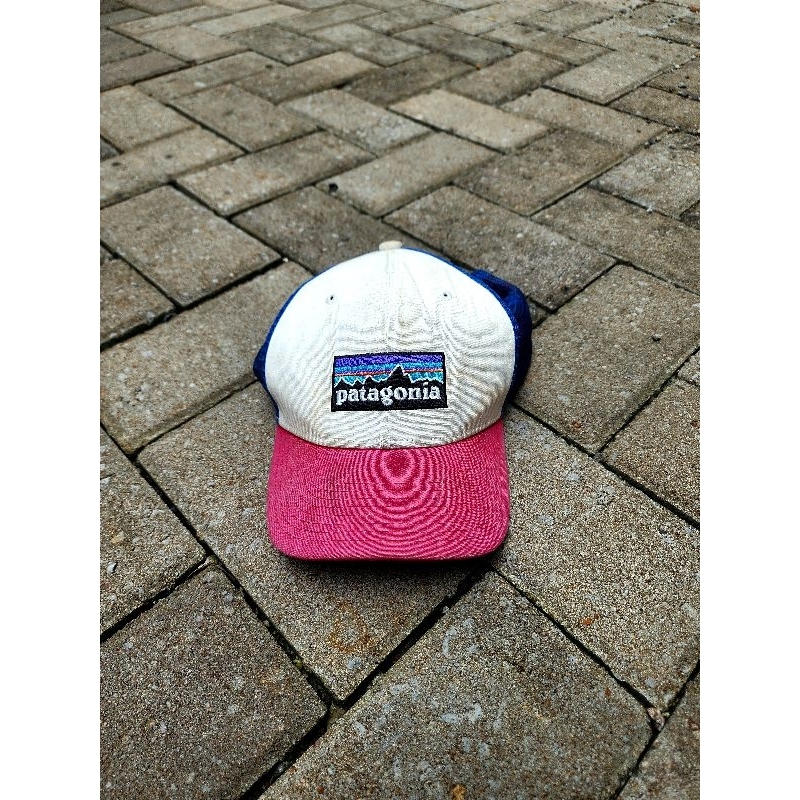 Patagonia Trucker