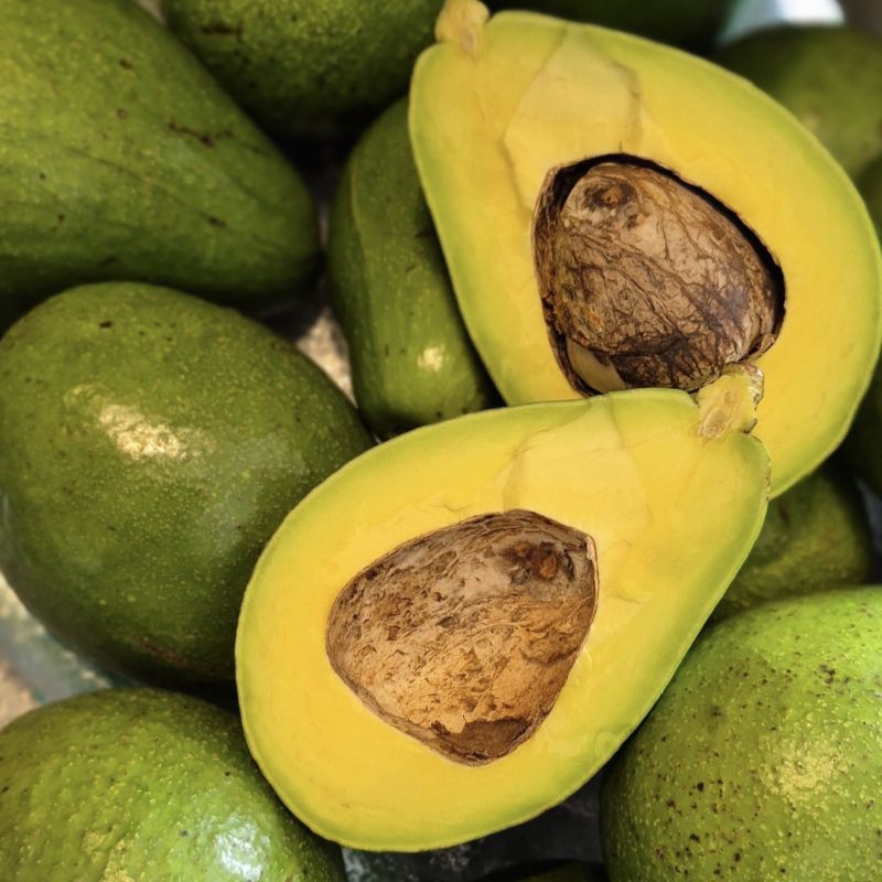 

Alpukat Mentega / butter avocado