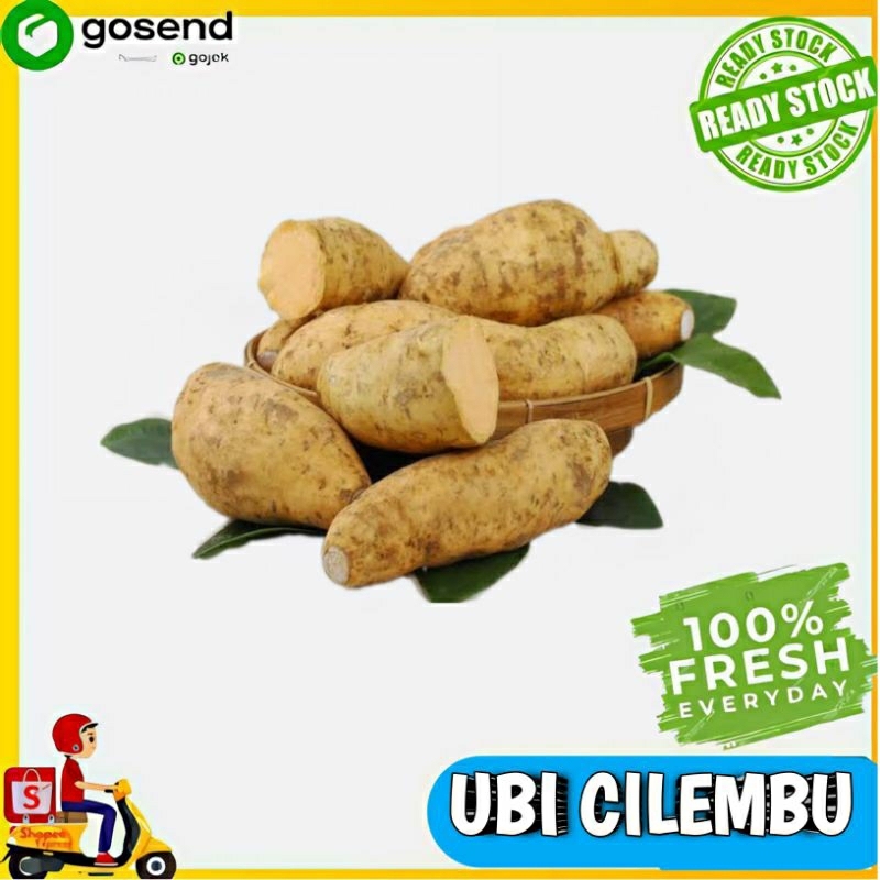 Ubi Cilembu - sayuran segar - Tukang Sayur Palembang