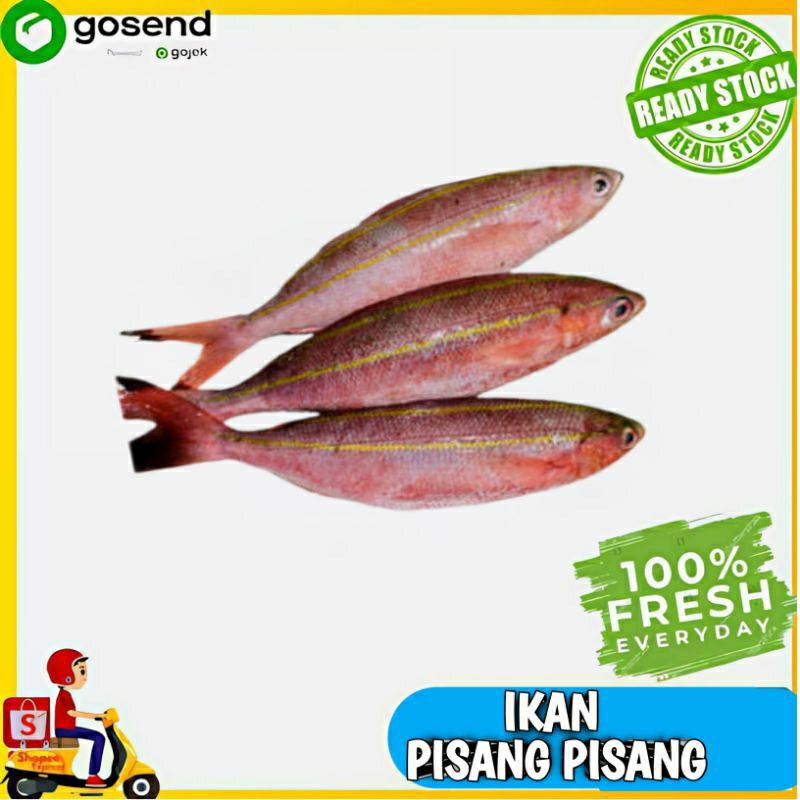 

Ikan pisang-pisang fresh - Sayuran segar Palembang - Tukang Sayur Palembang