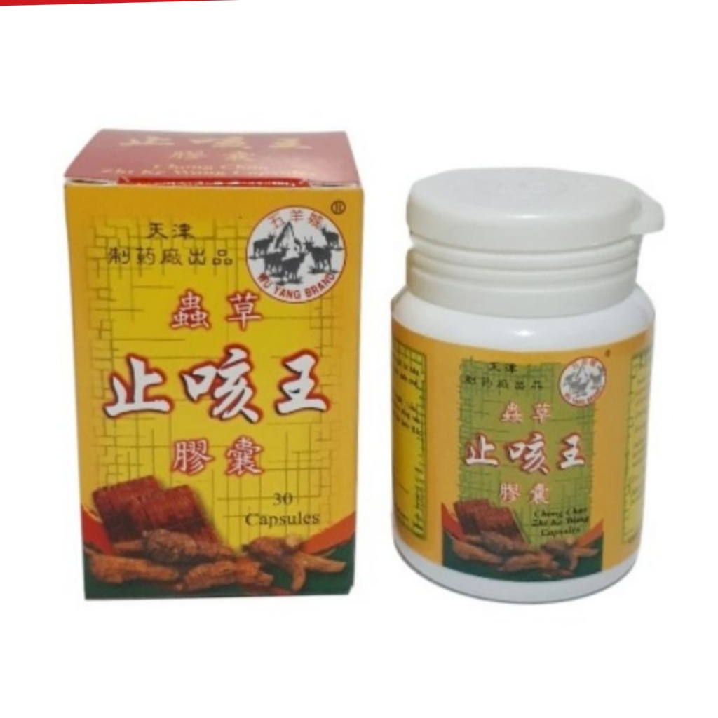 Obat Sinusitis Flu Pilek Alergi Sistem Pernapasan BI YAN TUAN - Obat Herbal Cina