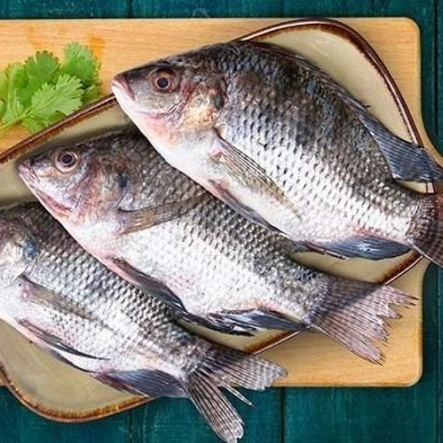 

Ikan Mujaer 250gr Murah Fresh dan Segar Instan Surabaya