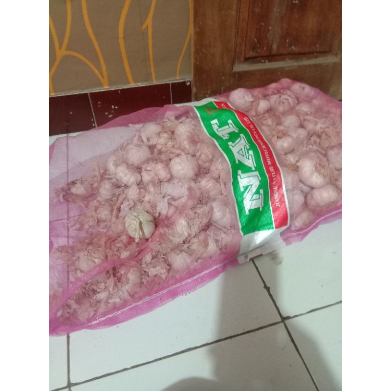 

bawang putih besar