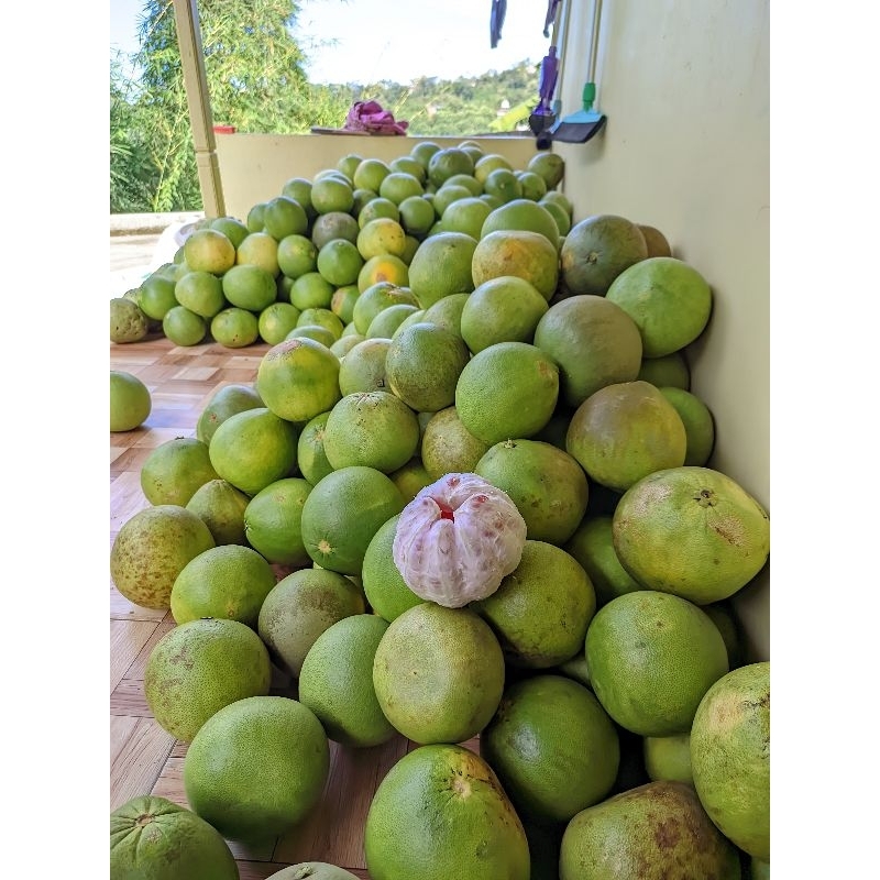 

Jeruk Pamelo Madu Asli Pati berat 10Kg.