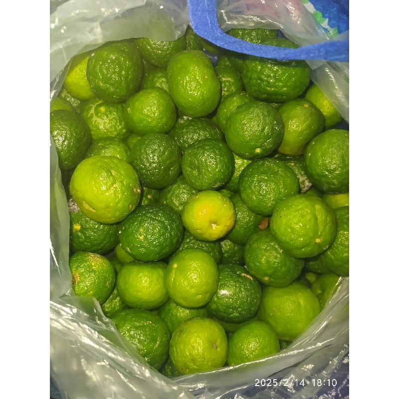 

Jeruk limau / jeruk sambel / jeruk bakso aci / 250 gram