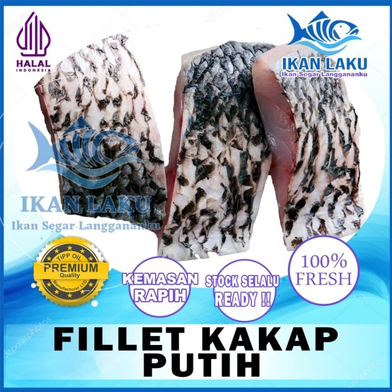 PRODUK BARU FILLET KAKAP PUTIH BARRAMUNDI PREMIUM FRESH TERMURAH BERGARANSI IKAN LAKU IKAN SEGAR IKA