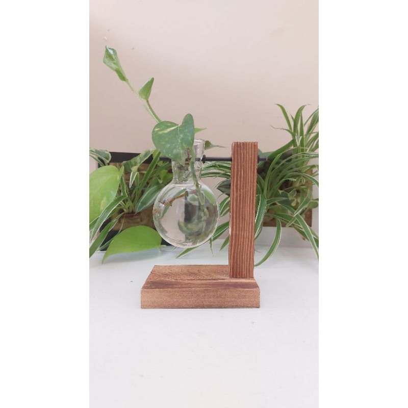 Pot kayu pot kaca tanaman hias tanaman air