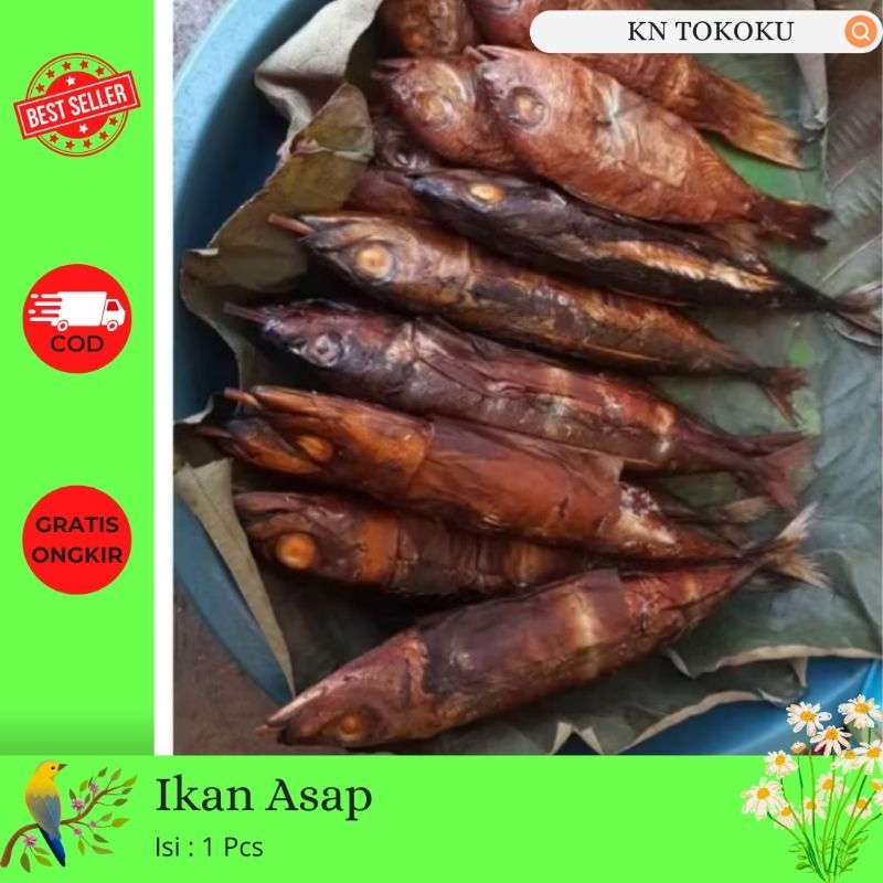

1 Pcs Ikan Panggang Ikan Asap Jenis Campur