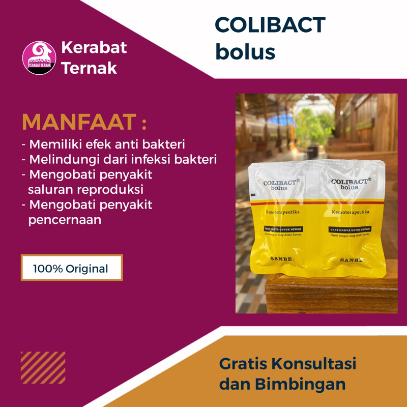 Colibact bolus - Antibiotik oral untuk ternak (ECER 1 Bolus)