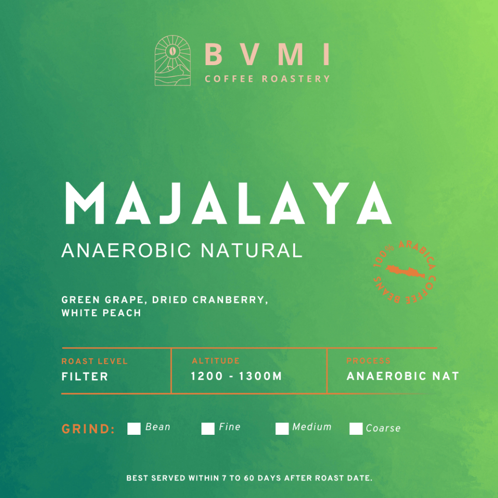 

Bvmi Roastery - Majalaya Anaerobic Natural Arabica Coffee Beans / Biji Kopi Arabika Grade 1 Filter