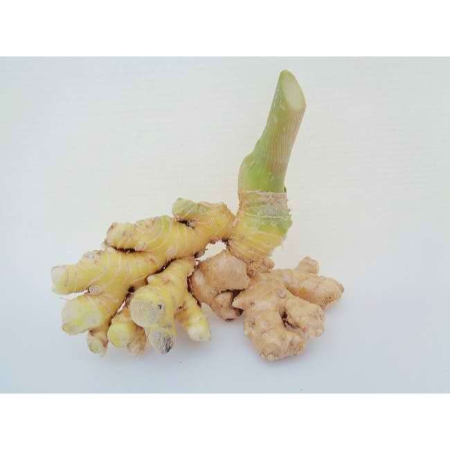 

REMPAH HERBAL LEMPUYANG KERING 38gram