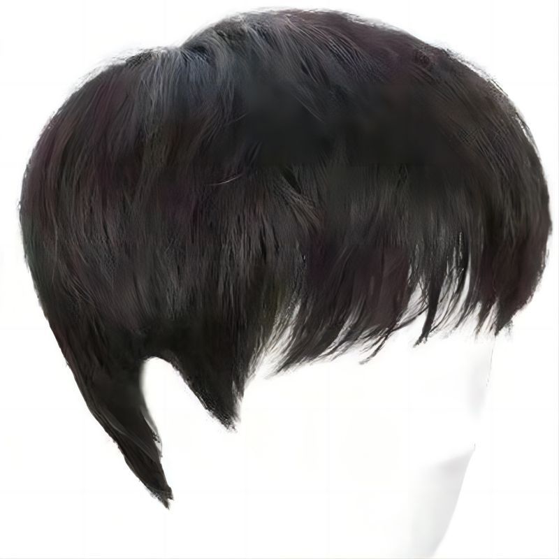Rambut Wig Pria Pendek Palsu Korea Cowok Belah Tengah Wik Universal Serbaguna Gudang Estetik